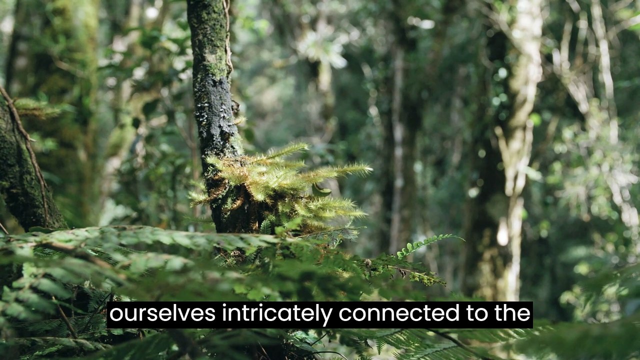 Discover the breathtaking world of landscaping, where nature's canvas becomes the ultimate form of creative expression.