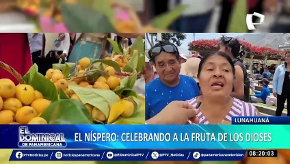 Festival del Níspero: cientos de turistas llegaron a Lunahuaná para disfrutar de esta celebración