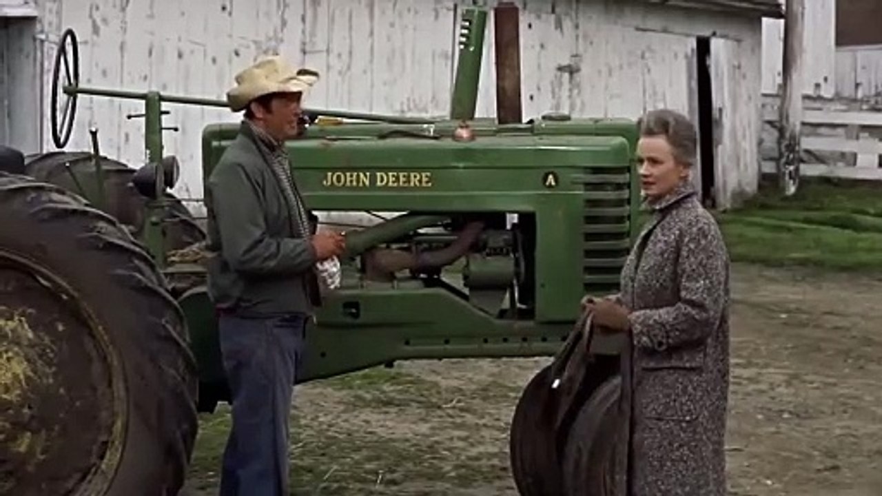 Les Oiseaux Bande-annonce (EN)