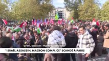 Manifestation pro Palestine à Paris