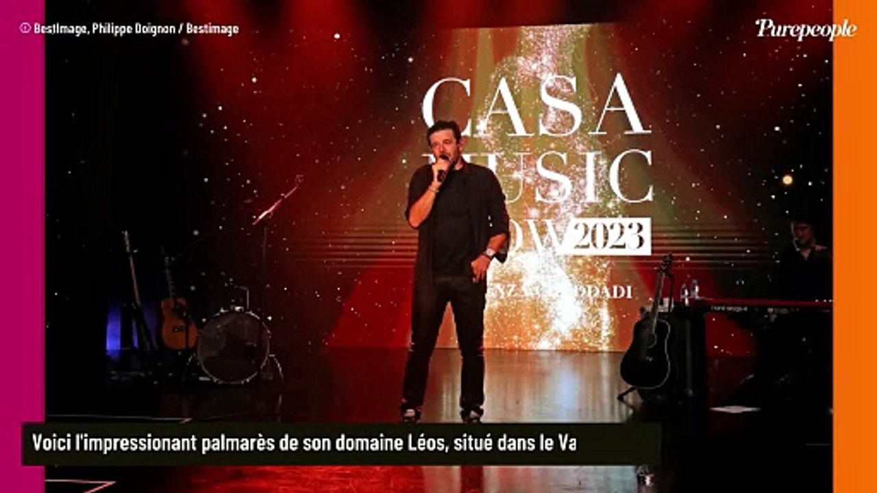 Patrick Bruel : Son business très éloigné de la musique lui vaut un nombre colossal de récompenses