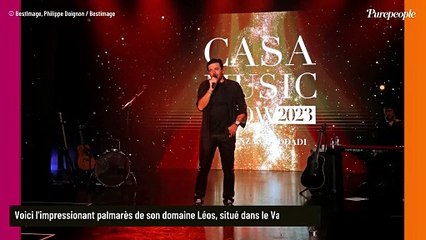 Patrick Bruel : Son business très éloigné de la musique lui vaut un nombre colossal de récompenses