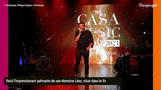 Patrick Bruel : Son business très éloigné de la musique lui vaut un nombre colossal de récompenses