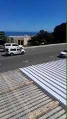 Preview of roof that needs spraypainting