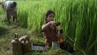 Virata Parvam (2023) Part 01 Hindi Dubbed Full Movie In 4K UHD | Rana Daggubati, Sai Pallavi