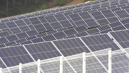 "2050년엔 태양광 발전이 50% 이상...바꿀 수 없는 흐름" / YTN