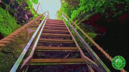 Ruta: Bco. de Teror - Bco. del Álamo - Arbejales - La Agujerada.