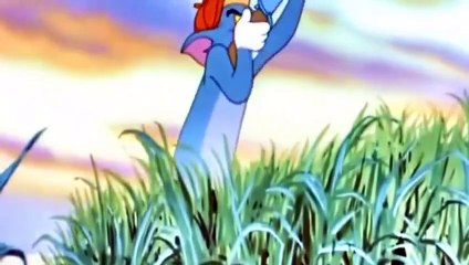 Tom and Jerry Cartoon - The Duck Doctor E