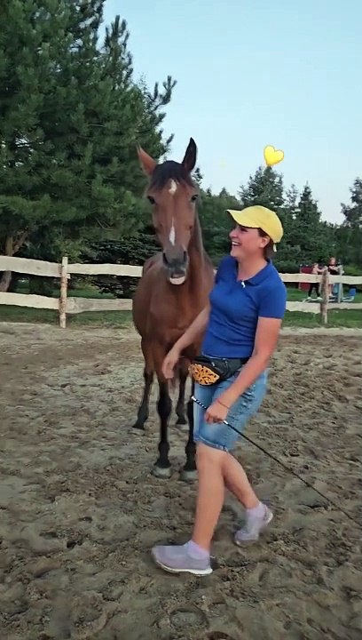 Trainer Builds Special Bond With Horse