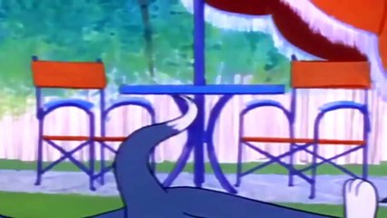 Tom and Jerry Cartoon Barbecue Brawl