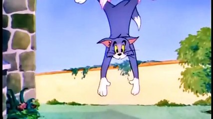 Tom and Jerry Cartoon The Flying Cat 2015 HD