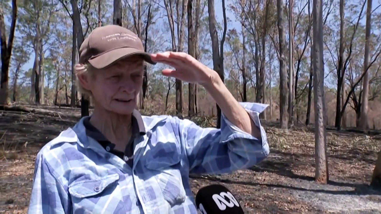 Kempsey residents defend properties from bushfires