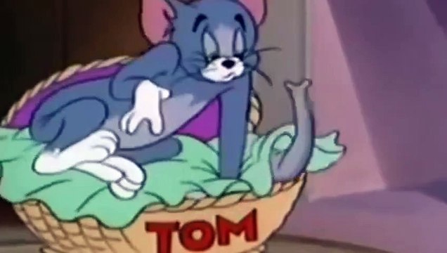 Tom and Jerry with his old friend the elephant high quality Tom And Jerry Cartoons
