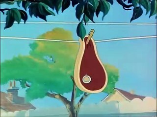 Tom And Jerry, 44 E - Love That Pup (1949)