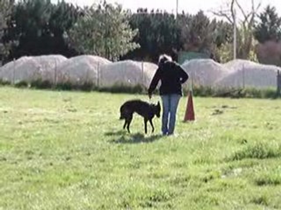 MOV06926