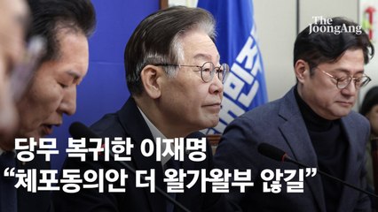 이재명, 체포안 가결파 징계에 "더 왈가왈부하지 마라" 일축