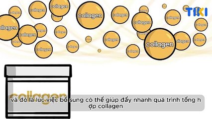 Collagen Là Gì? Tác Động Thật của Collagen Đến Sức Khỏe & Làm Đẹp