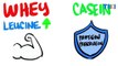 So sánh Whey vs Casein: Loại Protein nào sẽ tốt hơn?