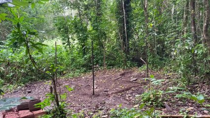 Primitive Technology - Undercover Brick Workshop