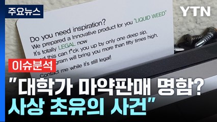 [뉴스앤이슈] "합법 대마 있다"...대학가에 뿌려진 전단 / YTN