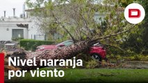 El azote del temporal a Sevilla que ha activado el Plan de Emergencias
