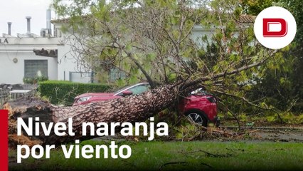 El azote del temporal a Sevilla que ha activado el Plan de Emergencias