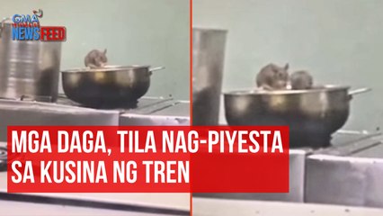 Mga daga, tila nag-piyesta sa kusina ng tren | GMA Integrated Newsfeed