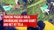 Tigreng pagala-gala, sinubukang hulihin gamit ang net at tela | GMA Integrated Newsfeed