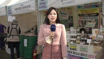 [날씨] 내일 중서부 5~10mm 약한 가을비...청정 농수산물 만나요 / YTN