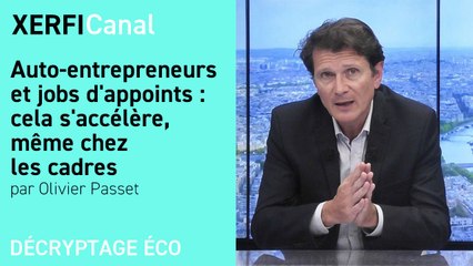 Auto-entrepreneurs et jobs d'appoints : cela s'accélère, même chez les cadres [Olivier Passet]