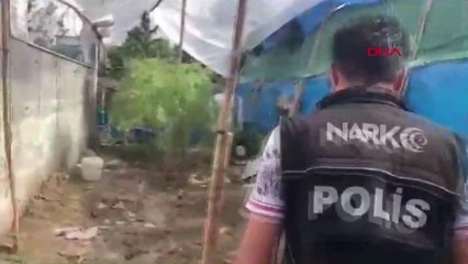 Adana'da Uyuşturucu Operasyonu: 2 Tutuklama