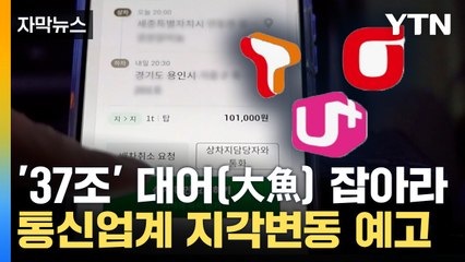 [자막뉴스] '마지막 아날로그의 땅'...37조 시장 누가 잡을까 / YTN