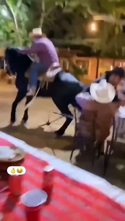 Fails of the Day