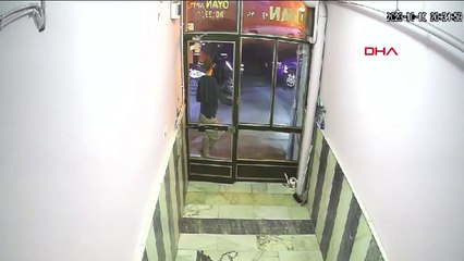 Avcılar'da Sokak Kedileri İçin Alınan Mama Çalındı