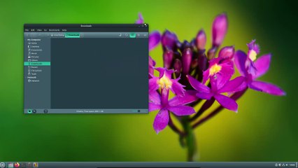 Transform Your Linux Mint Experience: Custom Theme Modification Guide