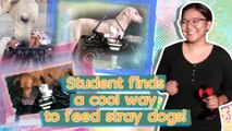 Student finds a cool way to feed stray dogs! | Make Your Day