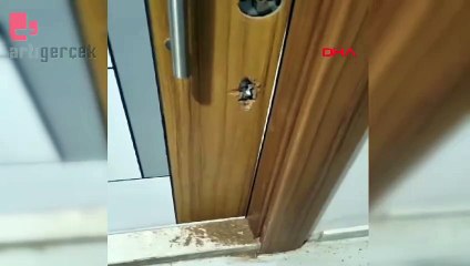 Çete, sitedeki daireleri başkalarına kiralayıp, satmış