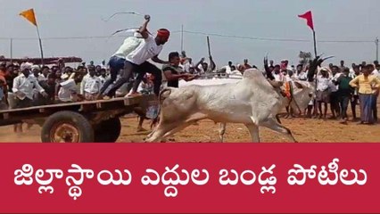 సత్యసాయి జిల్లా: సినిమా రేంజ్ లో... పదరా బాద్షా అంటూ...!