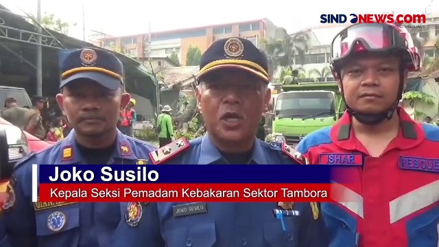 Pohon Kedondong Timpa Kios dan Penjaganya, Evakuasi Berlangsung Dramatis
