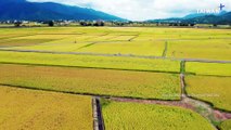 Cloud Gate Dance Troupe Performs in Chishang's Rice Paddies