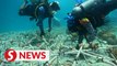 Semporna islanders working hard to restore ailing coral reefs