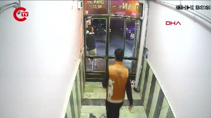 Sokak kedilerinin mamalarını çaldılar!