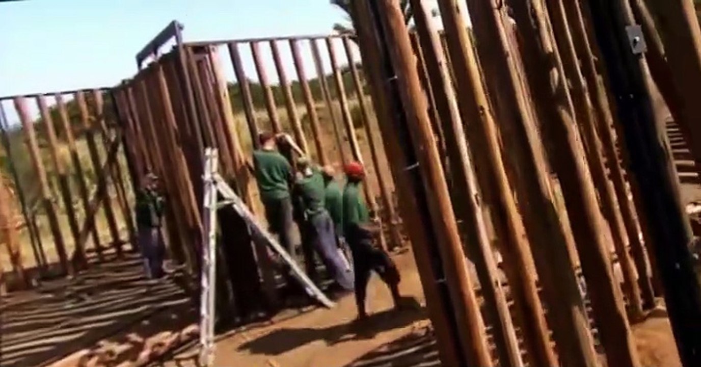 Prehistoric Park Prehistoric Park E001 T-Rex Returns