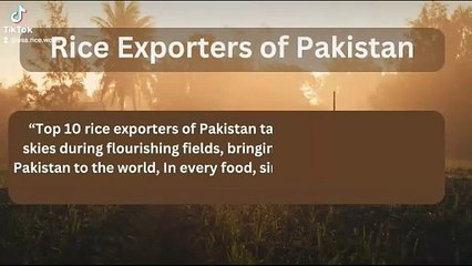 pakistan rice exporters