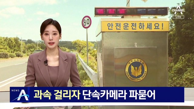 과속 걸리자 단속카메라 훔쳐 땅속에 파묻은 택시 기사