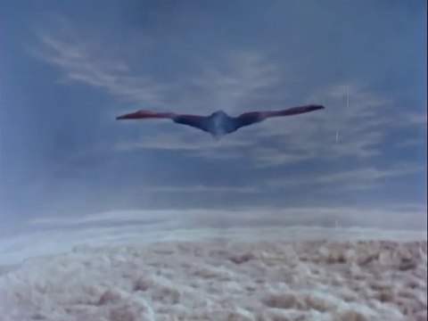 Rodan (1956) - Full Movie - Classic Media DVD
