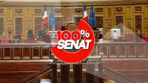 100% Sénat - Cybersécurité et menaces hybrides : une table ronde organisée au Sénat