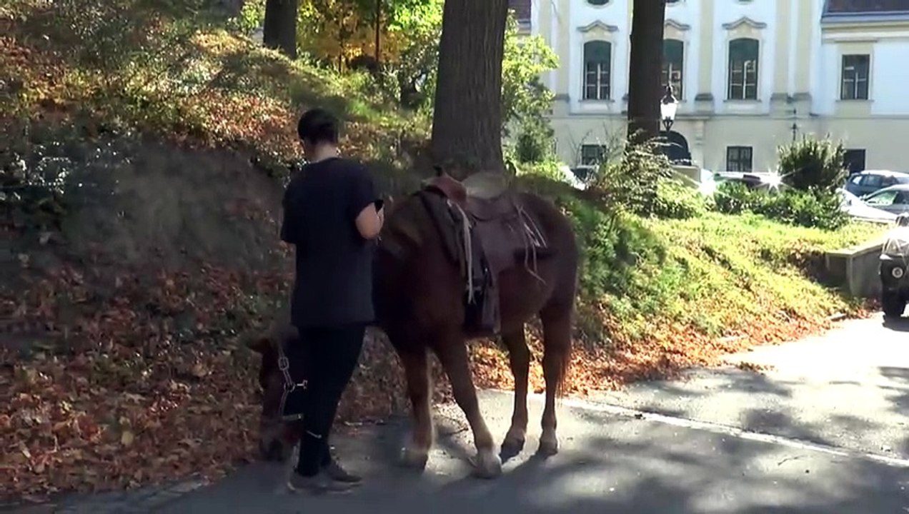 Ebenthal hilft Benefitzfest 2023 im Schüttkasten
