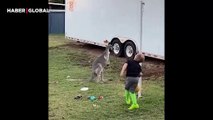 Küçük çocuk ile top oynayan kanguru kahkahaya boğdu