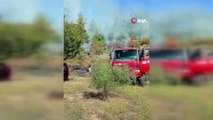 incendie de maquis à Muğla